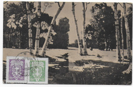 Delcampe - Litauen: Ansichtskarte Wald Mit Birken Im Winter, Schnee, Rokiskis, 1927 - Lituanie