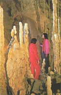 Delcampe - A5750 Romania Chiscau Jud Bihor Pestera Ursilor - Rumänien