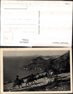 Delcampe - 272816,Kroatien Dubrovnik Ragusa Totale Esel - Kroatien