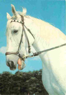 Delcampe - Carte Postale - Animaux - Chevaux - Gros Plan Sur Tete De Cheval Blanc - CPM - Voir Scans Recto-Verso - Poscard - Carta - Pferde