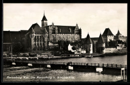Delcampe - AK Marienburg, Blick Auf Schiffsbrücke Und Marienburg - Westpreussen