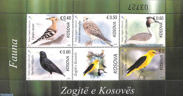 Delcampe - Kosovo 2018 Birds 5v M/s, Mint NH, Nature - Birds - Birds Of Prey - Autres & Non Classés