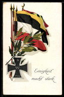 Delcampe - AK Flaggen Mit Eisernem Kreuz 1914, Türkische Flagge, Österr. Flagge - Türkei