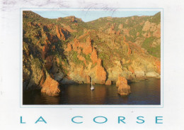 Delcampe - CPM - C - CORSE - RESERVE NATURELLE DE SCANDOLA - Corse