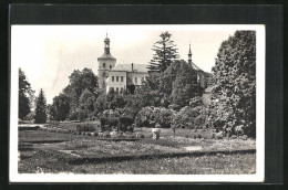 Delcampe - AK Breznice, Zámek - Tchéquie