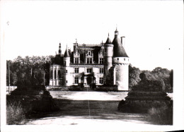 Delcampe - CPM Le Chateau De Chenonceaux - Chenonceaux