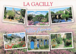 Delcampe - 56 LA GACILLY VILLE FLEURIE - La Gacilly