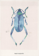 Delcampe - France Insecte Sagra Longicollis Illustration Aquarelle Abstraite Postée #SCY993 - Sonstige & Ohne Zuordnung