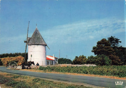 Delcampe - [-5%] FRANCE - Ile D Oléron - Moulin De Bree XIIIe Siècle - Champ - Rue - Chariot à Foin - Cheval - Animé - Carte Postal - Ile D'Oléron