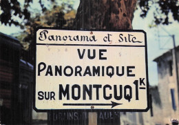 Delcampe - 46 MONTCUQ VUE PANORAMIQUE - Montcuq
