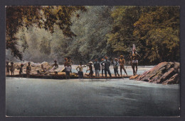 Delcampe - Vintage Postcard Indonesia Borneo River Jungle Rheinische Mission Ethnography - Indonesien