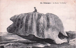 Delcampe - 29 -  BRIGNOGAN -   Le Cochon - Brignogan-Plage