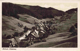 Delcampe - Lerbach Harz Osterode Niedersachsen Oberharz Tal Dorf Haeuser Wald Huegel Strass - Osterode