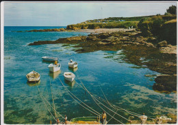 Delcampe - GROIX  PORT MELITE - Groix