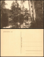Delcampe - Ansichtskarte Rochlitz Blick Vom Teich Birken 1913 - Rochlitz