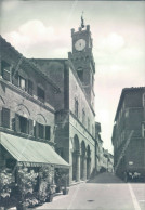 Delcampe - Z280 Cartolina Pienza Palazzo Pubblico Provincia Di Siena - Siena