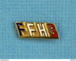 Delcampe - 1 PIN'S //  ** FFHB / FÉDÉRATION FRANÇAISE DE HANDBALL ** - Pallamano