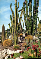 Delcampe - CPM Eze Village Le Jardin Exotique - Eze