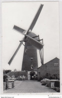 Delcampe - Ravels - Beltkorenmolen Uit 1896. Windmolens Van Antwerpen. * - Ravels