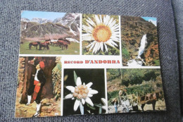 Delcampe - Valls D'andorra - Andorra