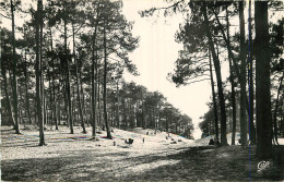 Delcampe - 33 - ARCACHON - Arcachon