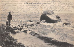 Delcampe - B95016 Snekkersrenen Denmark - Dänemark