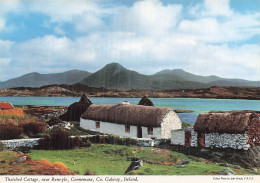 Delcampe - IRLANDE RENVYLE THATCHED COTTAGE CONNEMARA - Sonstige & Ohne Zuordnung
