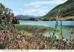 Delcampe - IRLANDE KILLARNEY THE LONG RANGE CO KERRY - Sonstige & Ohne Zuordnung