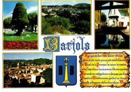 Delcampe - 83 BARJOLS  / VUES / BLASON /  TEXTE SUR STYLE PARCHEMIN - Barjols
