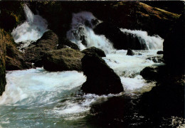Delcampe - FONTAINE DE VAUCLUSE La Sorgue A La Sortiede La Resurgence 4 (scan Recto Verso)ME2699 - Sorgues