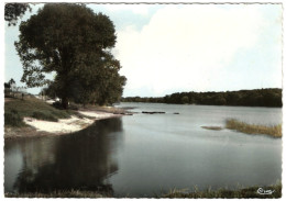 Delcampe - 8 - M58276CPM - LE CHESNE - Etangs De Bairon - Très Bon état - ARDENNES - Le Chesne