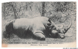 Delcampe - CAR-AEEP17-0931-ANIMAUX - RHINOCEROS - PARIS - JARDIN DES PLANTES - RHINOCEROS BLANC DU SOUDAN - Rinoceronte