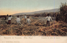 Delcampe - A878 Argentina Recuerdo De Tucuman Cosecha Native Peasants Mowing Postcard - Argentinien