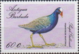 Delcampe - AVE307 - Antigua E Barbuda 1988 (MNH) (Mi 1090) - Purple Gallinule (Porphyrula Martinica) - Grues Et Gruiformes