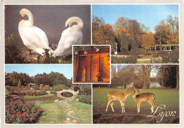 Delcampe - LYON Parc De La Tête D'Or 35 (scan Recto Verso)MH2901BIS - Lyon 6