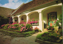 Delcampe - ST. JOHANN I. D. HAIDE, HARTBERG, PUẞWALD INN, FLOWER BED, GARDEN, POSTCARD, AUSTRIA - Hartberg