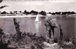 Delcampe - 56 - Morbihan - DAMGAN - KERVOYAL - La Plage - Damgan