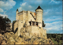 Delcampe - Roanne, Château De La Roche - Roanne