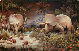 Delcampe - Carte Postale - Parc D'Attractions - Disneyland - Triceratops - Primeval World - Dinosaures - CPM - Voir Scans Recto-Ver - Disneyland