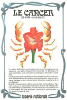 Delcampe - Carte Postale - Astrologie - Cancer - Illustration - CPM - Carte Neuve - Voir Scans Recto-Verso - Poscard - Carta Postal - Astrologie