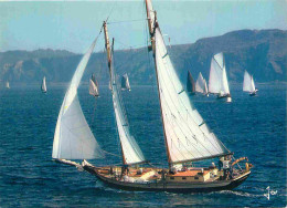 Delcampe - Carte Postale - Bateaux - Voiliers - Régate De Vieux Gréements - CPM - Voir Scans Recto-Verso - Poscard - Carta Postal - - Segelboote
