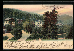 Delcampe - AK Friedrichroda, Ansicht Vorderbüchig - Friedrichroda