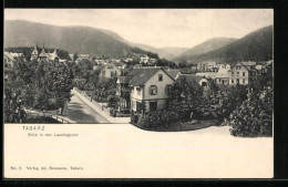 Delcampe - AK Tabarz, Blick In Den Lauchagrund - Tabarz