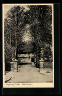 Delcampe - AK Lütjenburg /Holst., Alter Posthof - Lütjenburg