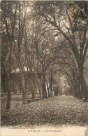 Delcampe - 43310 - BELLEY - LE PROMENOIR - Belley