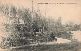 Delcampe - 84 CARPENTRAS LES BORDS DE L AUZON FRASCATI - Carpentras