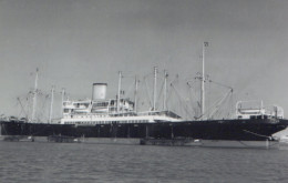 Delcampe - Cargo Ship Postcard Size Real Photo #SDB310 - Handel