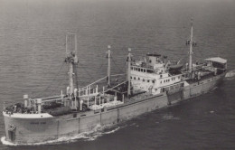 Delcampe - HONG END Cargo Ship At Sea Postcard Size Real Photo #SDB520 - Handel