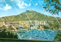 Delcampe - Br375 Cartolina Porto Ercole Panorama Provincia Di  Grosseto Toscana - Grosseto