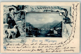 Delcampe - 3860 Meiringen 1900 - Eisenbahn Hund - 13251416 - Meiringen